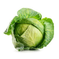 Cabbage