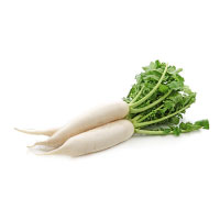 Radish