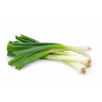 Spring Onion