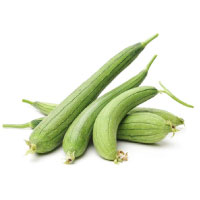 Sponge Gourd