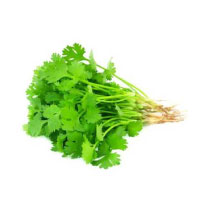 Coriander Leaves