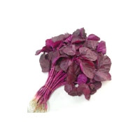 Red Spinach