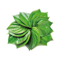 Betel Leaf