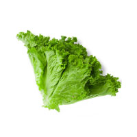 Lettuce Leave