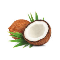 Coconut